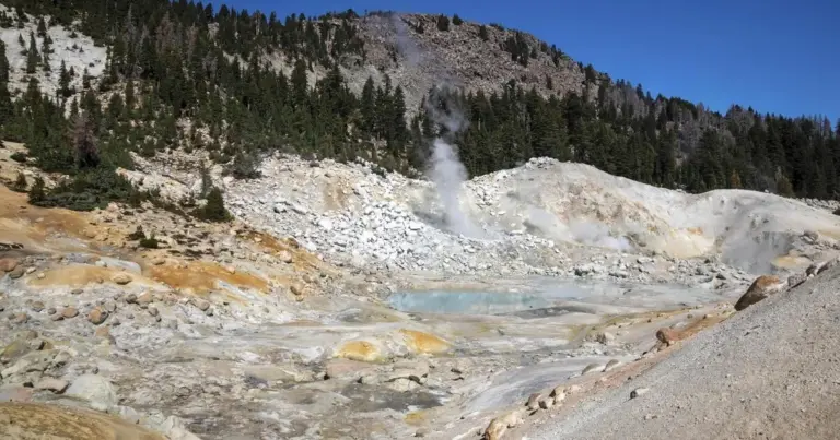 Warum deine Heizung im Winter das kleinste Problem ist: Dieser Einzeller bricht alle Biologie-Regeln
