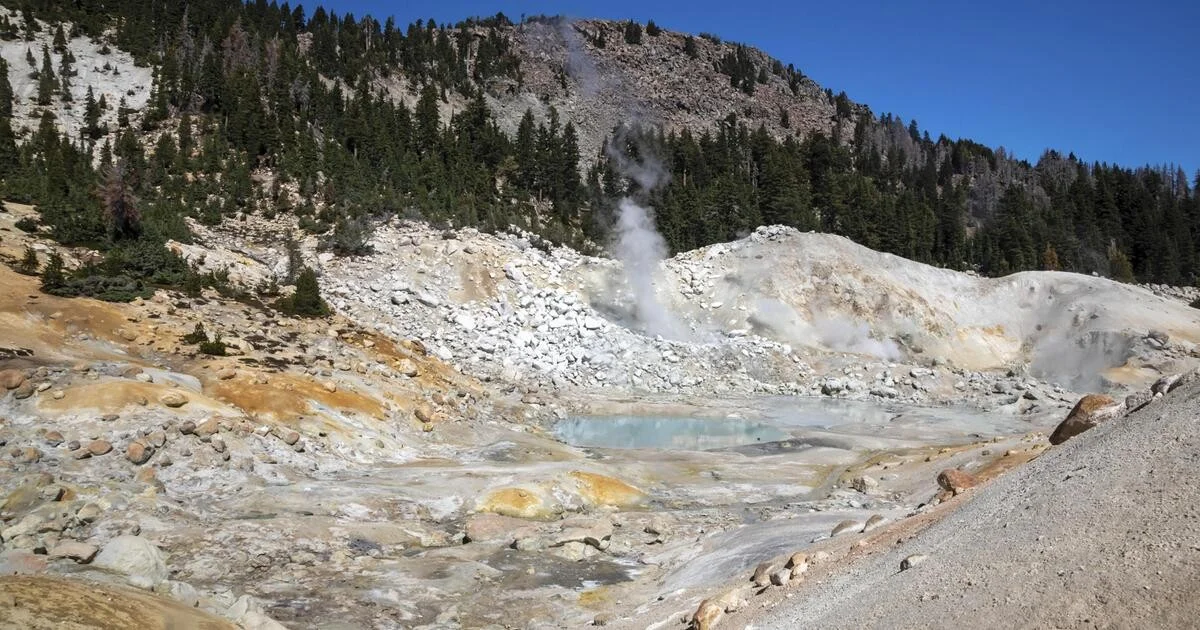 Warum deine Heizung im Winter das kleinste Problem ist: Dieser Einzeller bricht alle Biologie-Regeln