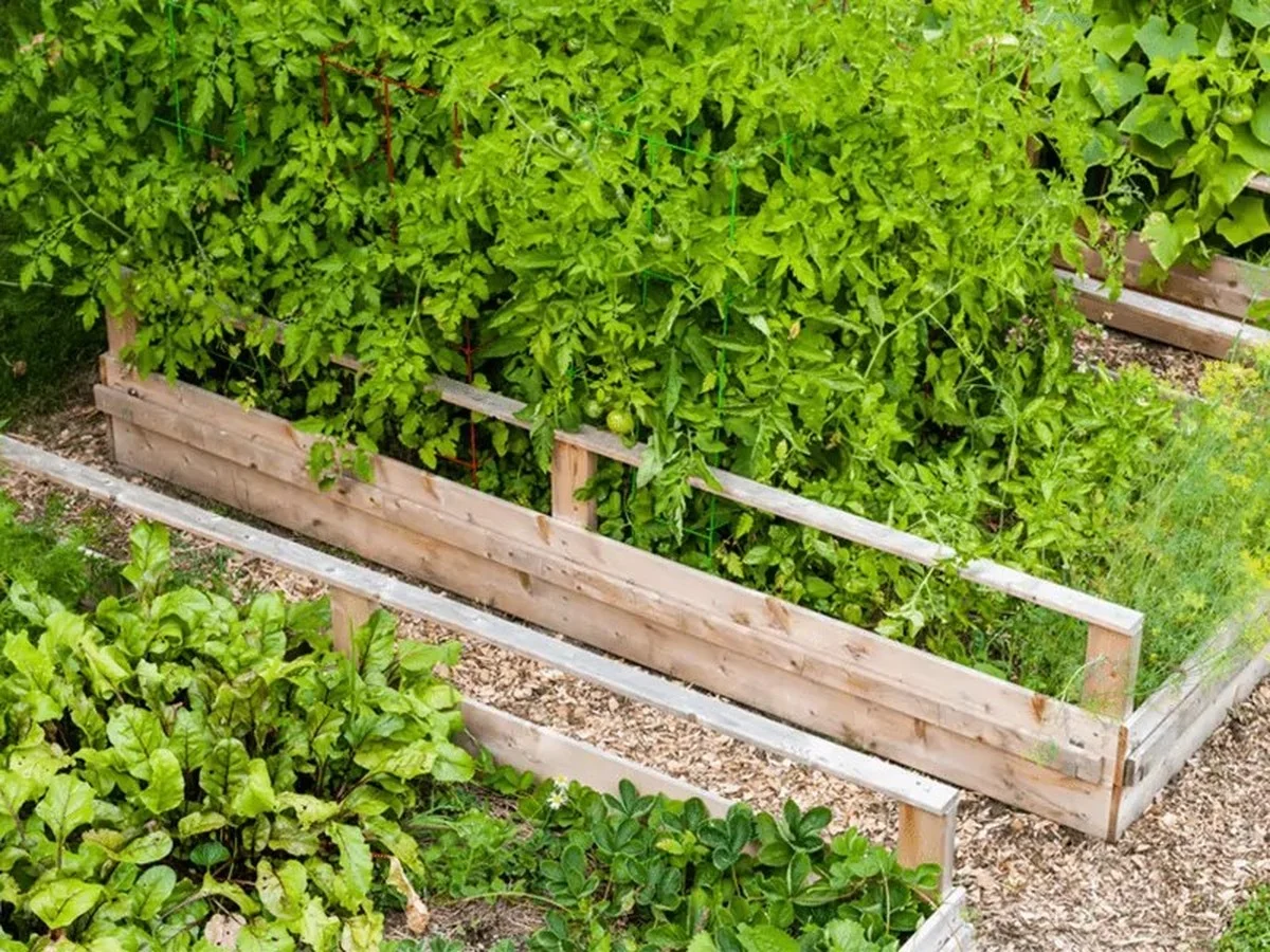 Warum dieses Paar seit 10 Jahren Strom aus dem Netz meidet – und was Sie sofort abschalten sollten - image 2