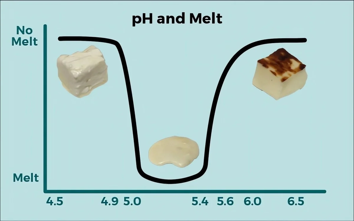 Warum Ihr Raclette-Käse Fäden zieht und fettig wird – die versteckte Wissenschaft dahinter - image 2