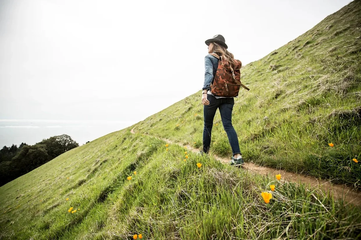Warum Profis jetzt ihre Laufschuhe einstauben und lieber den Waldweg nehmen - image 1