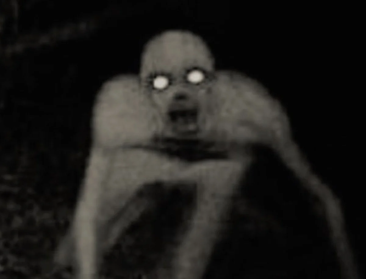 400 Jahre altes weißes Etwas in Neuseeland: Was steckt wirklich hinter dieser uralten Anomalie? - image 1