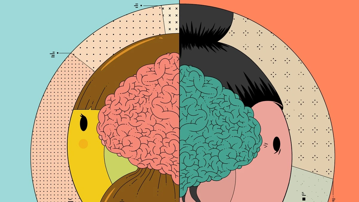 Dein Gehirn schrumpft in den Wechseljahren – und das hat nichts mit Vergesslichkeit zu tun - image 1