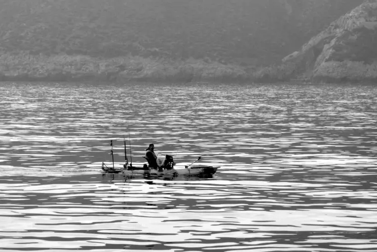 Dein Meer ist voller Plastik? Diese 3 Tiere kommen heimlich zurück, weil WIR es falsch gemacht haben