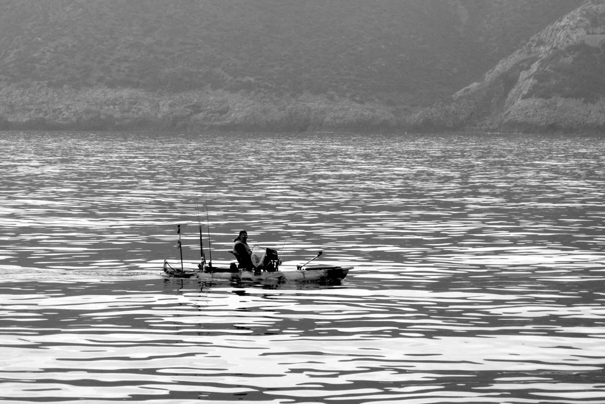 Dein Meer ist voller Plastik? Diese 3 Tiere kommen heimlich zurück, weil WIR es falsch gemacht haben
