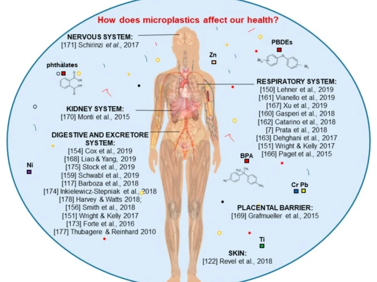 Die große Mikroplastik-Lüge? Warum Forscher jetzt Zweifel an Ihren schlimmsten Gesundheitsängsten anmelden - image 1