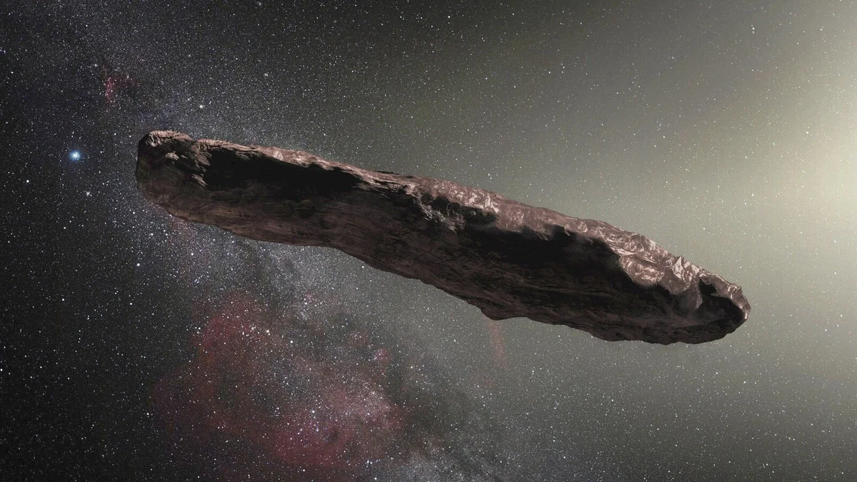 Diese hitzevertraegliche Amöbe stellt das Wissen über das Leben auf der Erde auf den Kopf - image 1