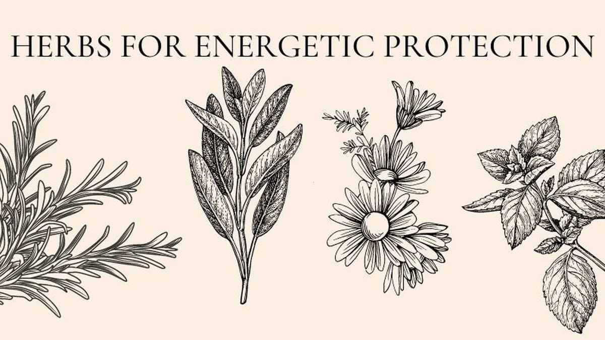 Diese Küchenpflanze zieht sofort positive Energie an – aber nur, wenn sie richtig platziert wird - image 2
