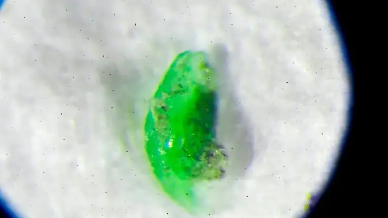 Diese Plastik-Angst ist laut Forschern frei erfunden: Was Sie sofort vergessen können