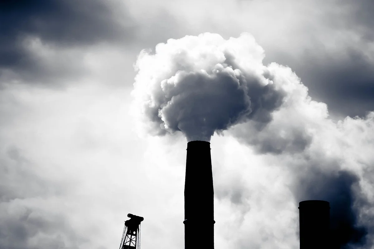 Diese Plastik-Angst ist laut Forschern frei erfunden: Was Sie sofort vergessen können - image 2