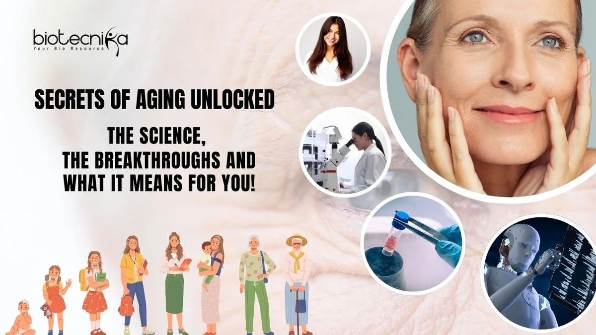 Dieser eine Fehler beim Essen kostet Sie JAHRE Ihres Lebens – ein Forscher packt aus. - image 2