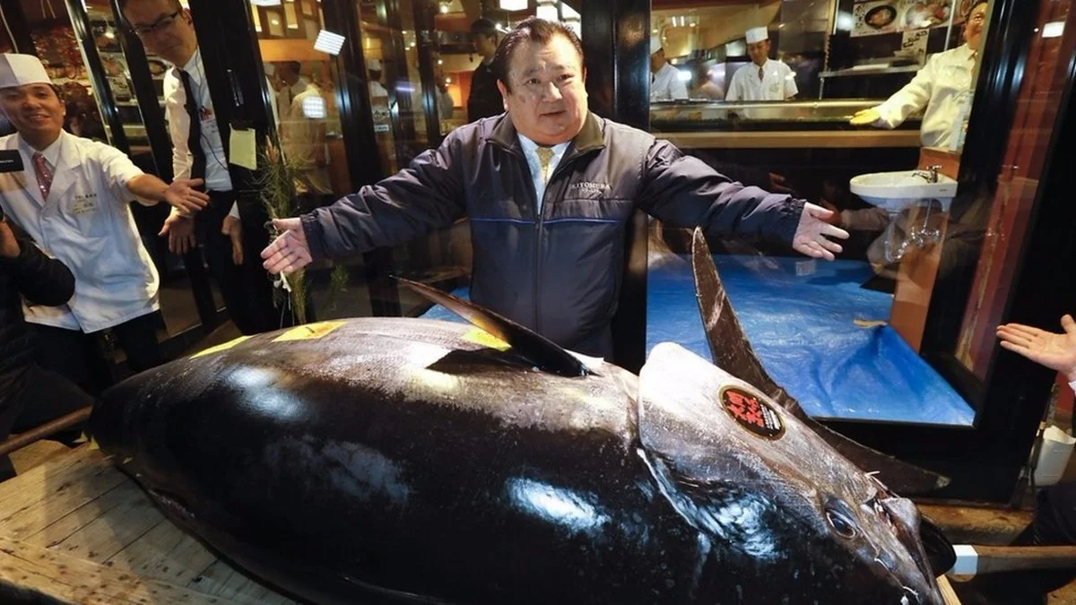 Dieser Fisch kostete 2,8 Millionen Euro: Warum dieser Thunfisch-Kauf kein Zufall ist - image 2