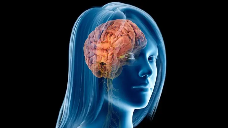 Dieser Mini-Verlust im Gehirn macht Frauen anfälliger für Demenz als Männer