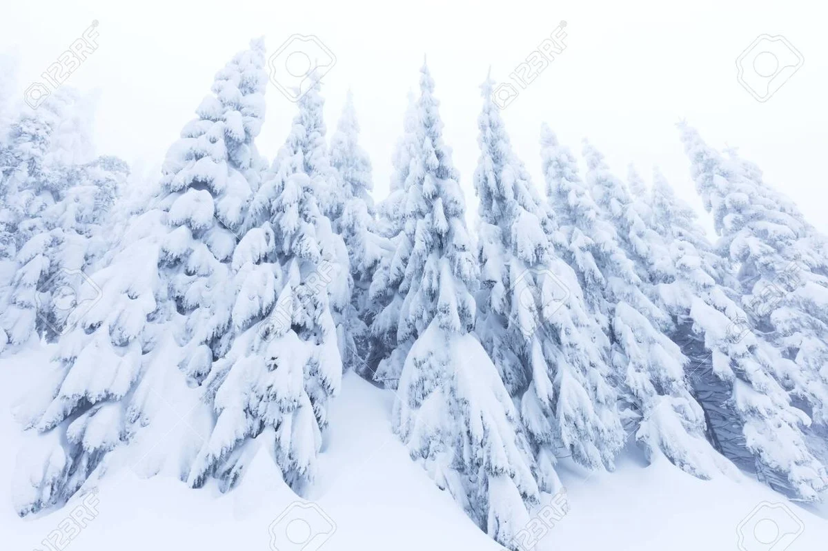 Dieser stille Ort in den Alpen fror auf krasse -45 Grad ein – aber seine Baumgrenze macht alle stutzig - image 1