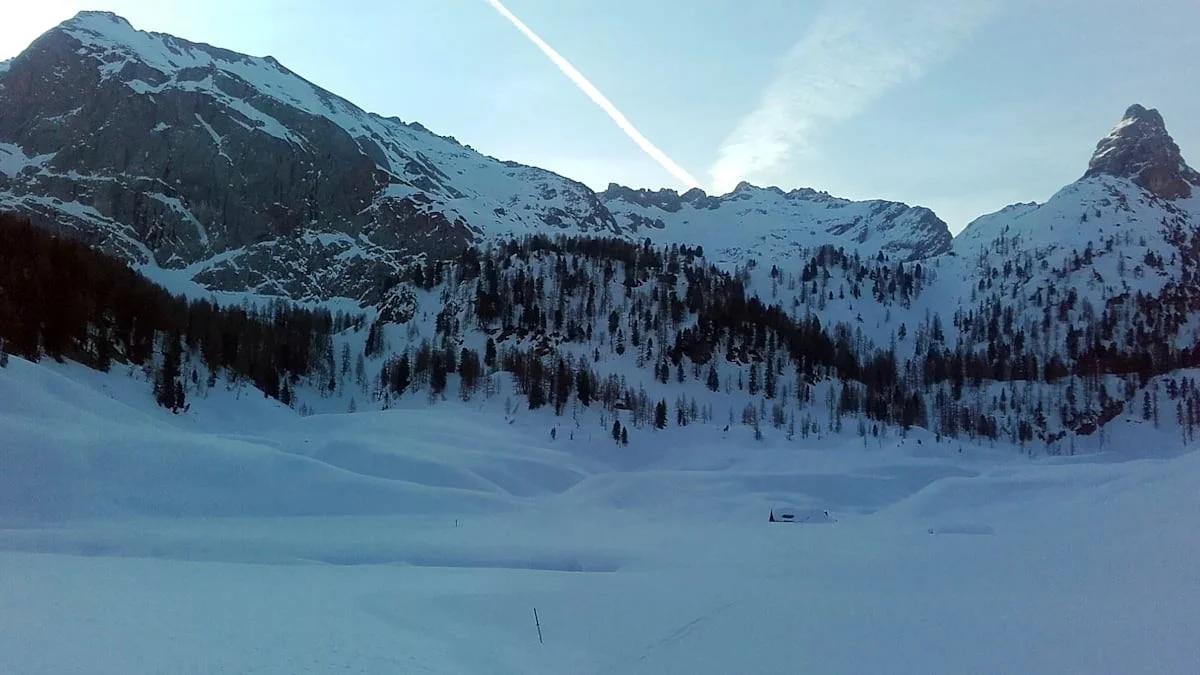 Dieser stille Ort in den Alpen fror auf krasse -45 Grad ein – aber seine Baumgrenze macht alle stutzig