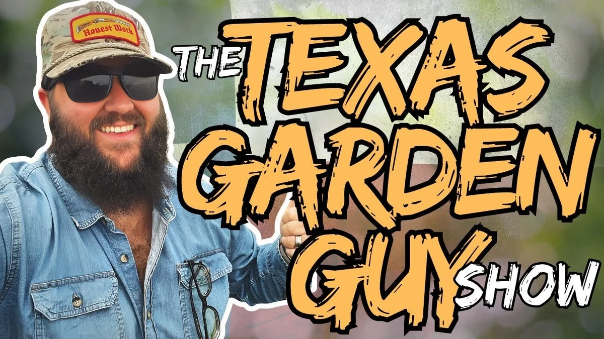 Dieser Traum vom eigenen Pub kostet 61.000 $: Warum Texaner jetzt ihre Gärten umbauen - image 2