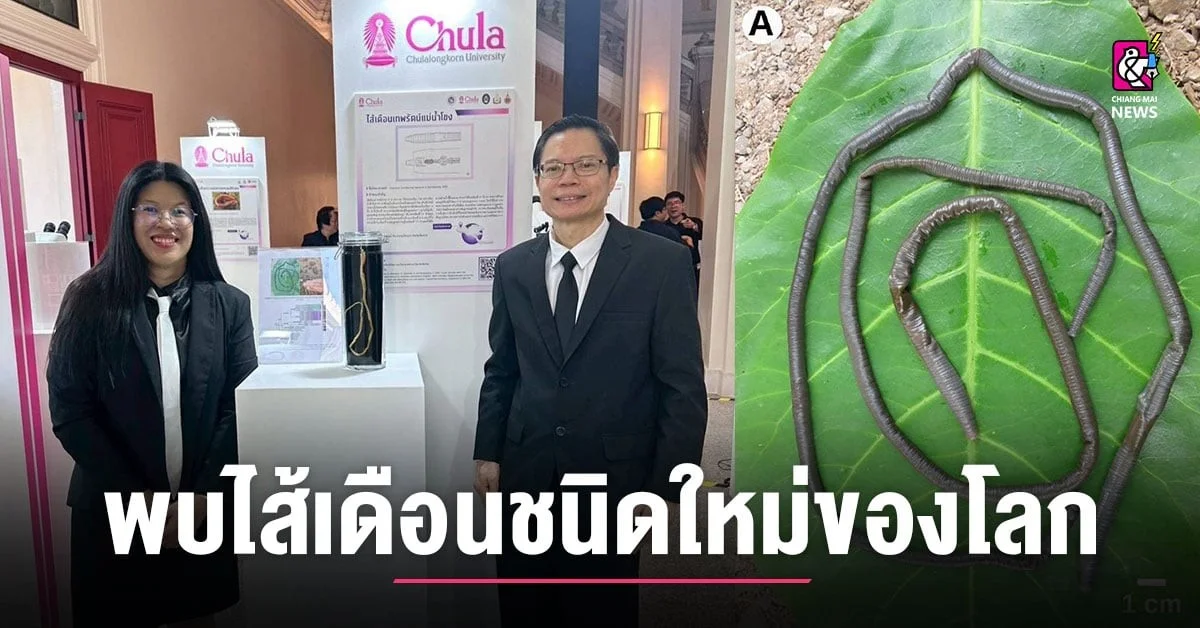 Dieser Wurm lebt in unseren Flüssen – und die Wissenschaft hat ihn erst jetzt entdeckt