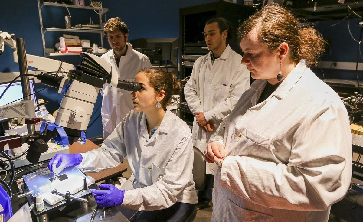 Dieses geheime „Rauschen“ im Kopf verrät, was Neuronen wirklich denken - image 2