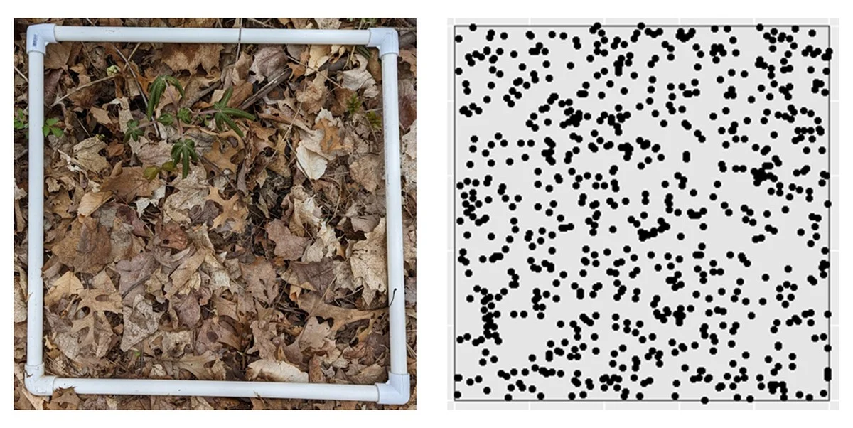 Du glaubst, es wimmelt dort unten? Russische Forscher zählen Würmer und sind schockiert - image 2