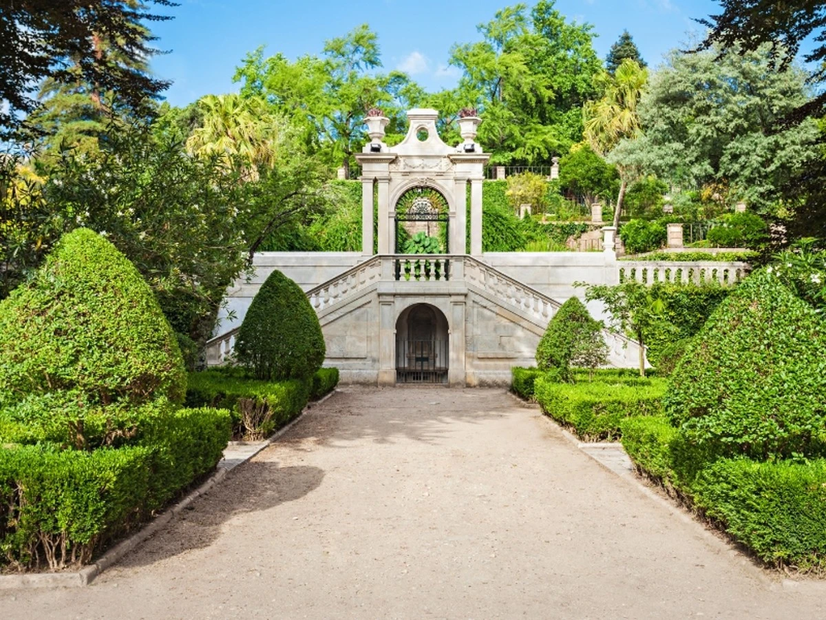 Dürre-Überlebende: Diese 87-Millionen-Jahre-Frucht erklärt, warum Ihre Zimmerpflanze jetzt Stirbt - image 2