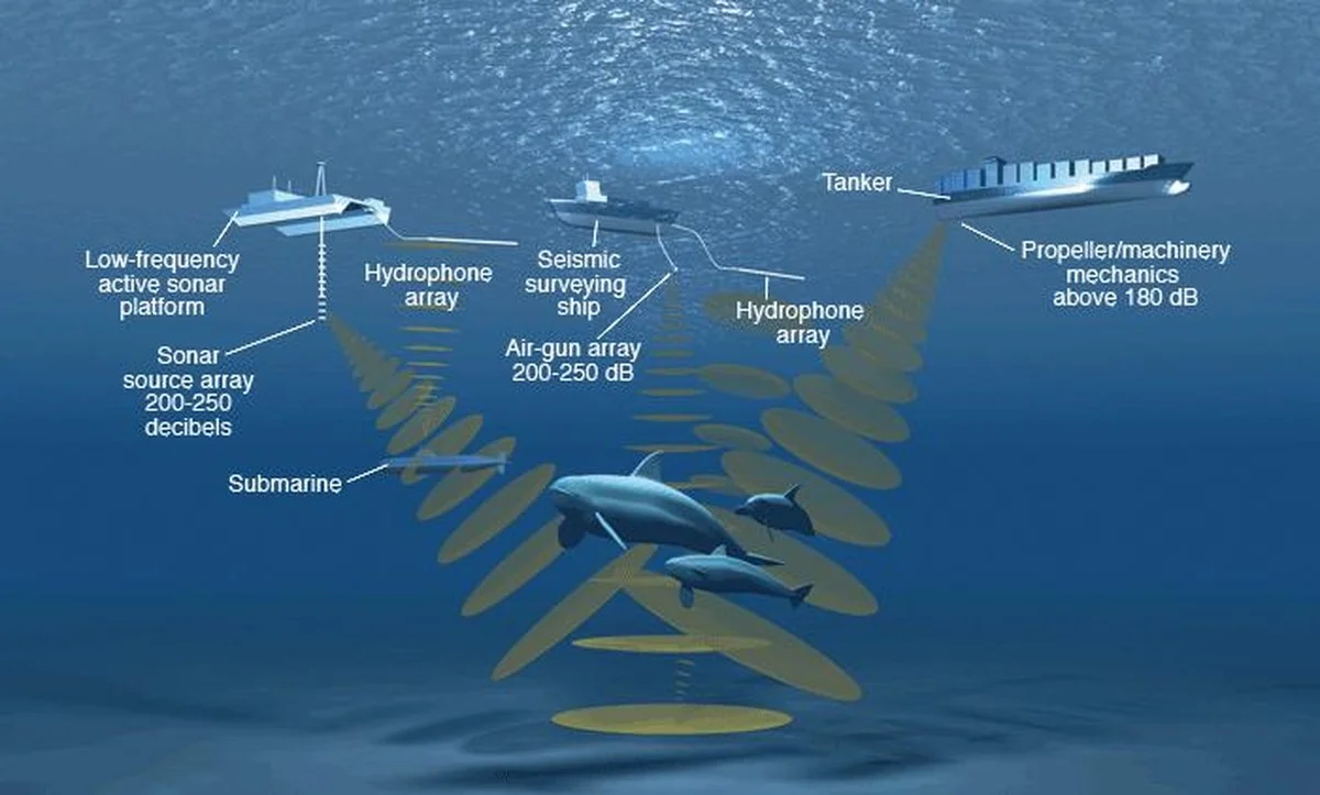 Erschütterung unter der Antarktis: Warum diese Erdbeben jetzt das Plankton explodieren lassen - image 2