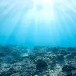Forscher finden: Deshalb müssen wir die Ostsee sofort trockenlegen
