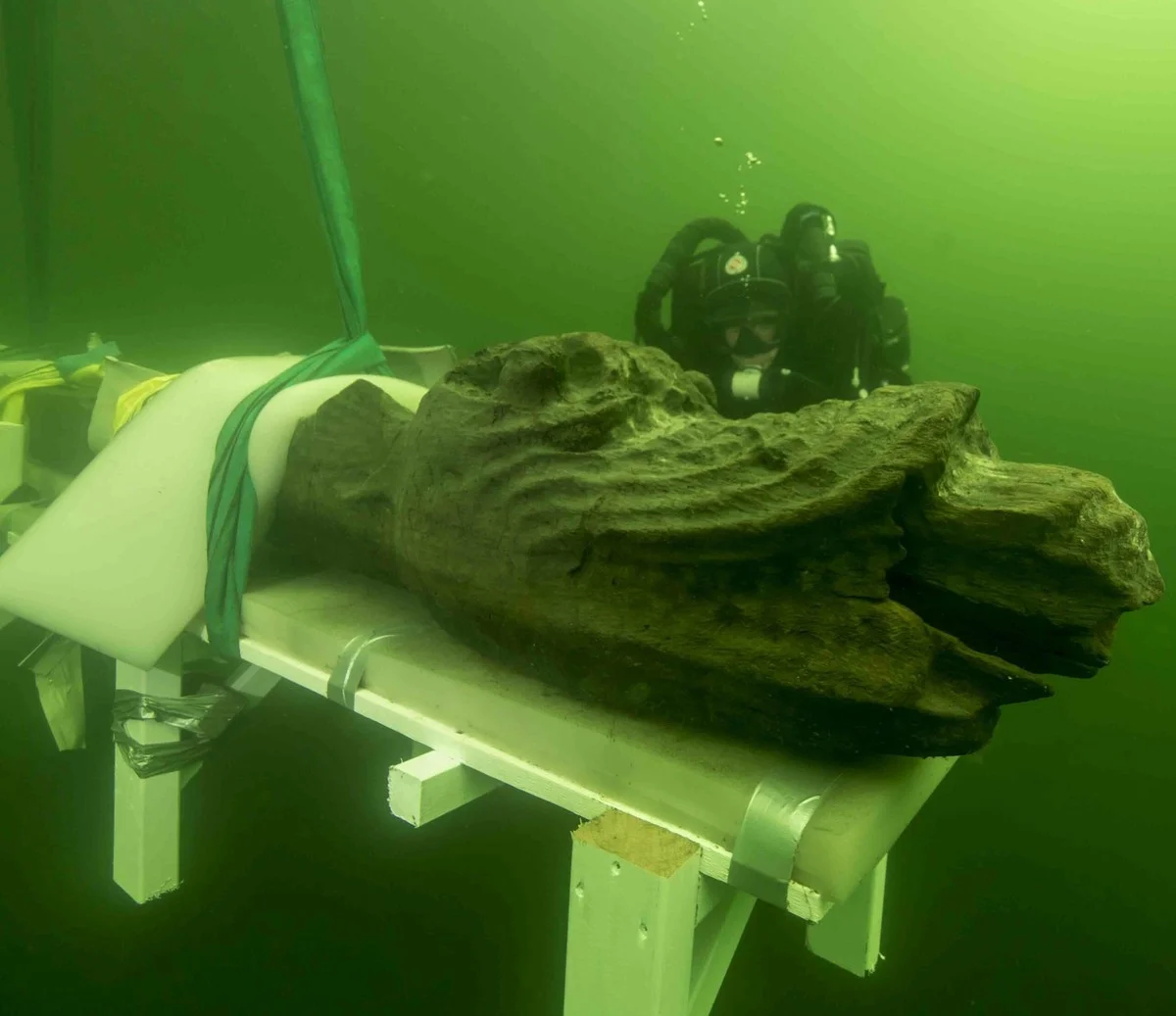 Forscher finden: Deshalb müssen wir die Ostsee sofort trockenlegen - image 1