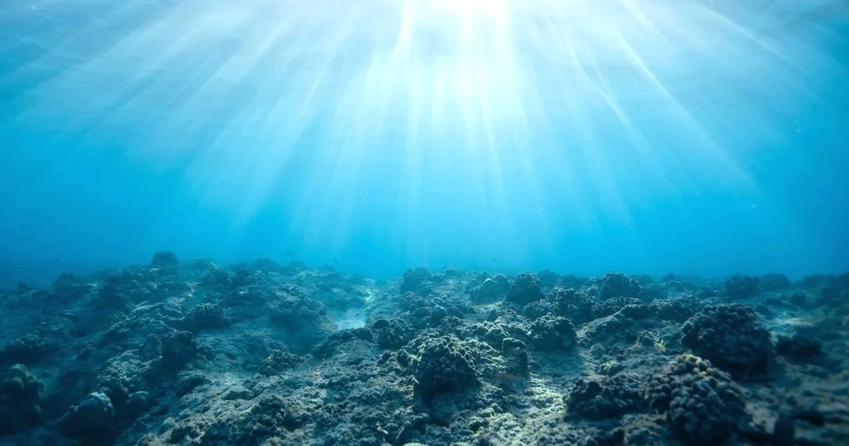 Forscher finden: Deshalb müssen wir die Ostsee sofort trockenlegen