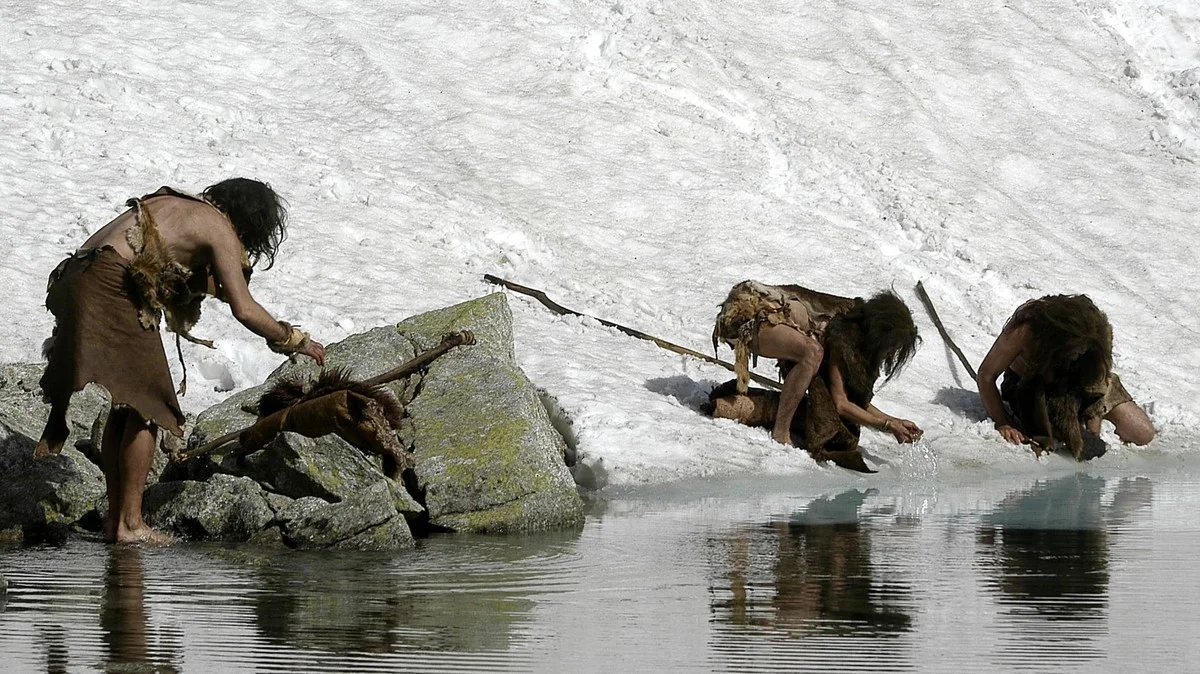 Neandertaler tauchten für Muscheln: Warum Ihr Geschichtsbuch eine Lüge lehrt