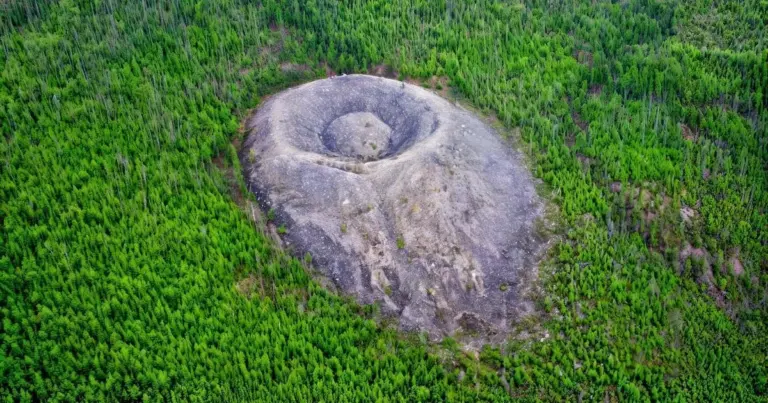 Russische Wissenschaftler rätseln: Dieses 500 Jahre alte Phänomen zerstört Bäume – aber es ist keine Strahlung