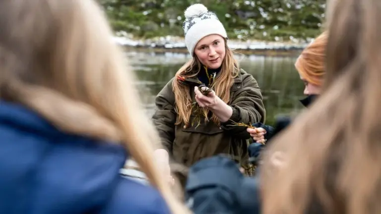 Seetang-Alarm: Deshalb stirbt die "Lunge" der Meere – und was du sofort ändern musst