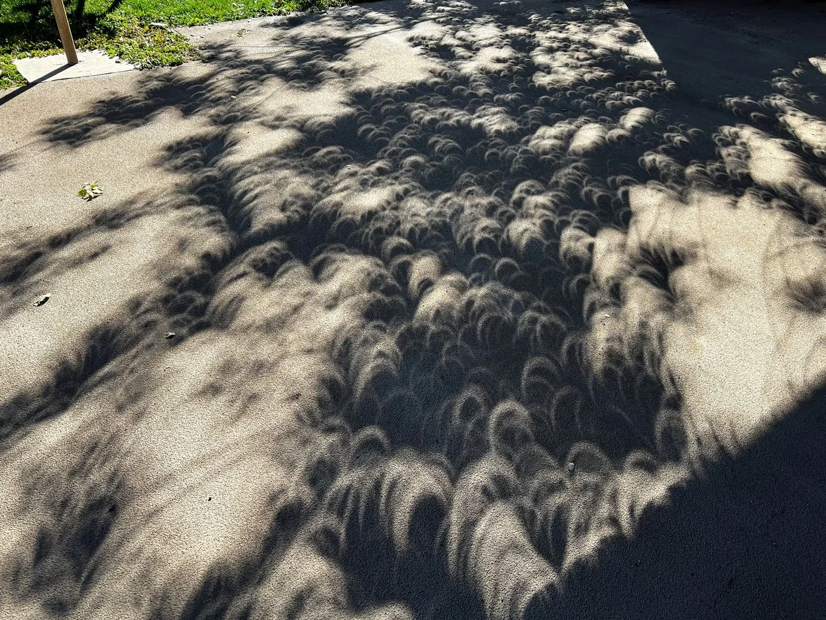 Stopp! Wissen Sie, wann mitten am Tag diese totale Finsternis kommt? Das sehen Sie nur einmal im Leben - image 1