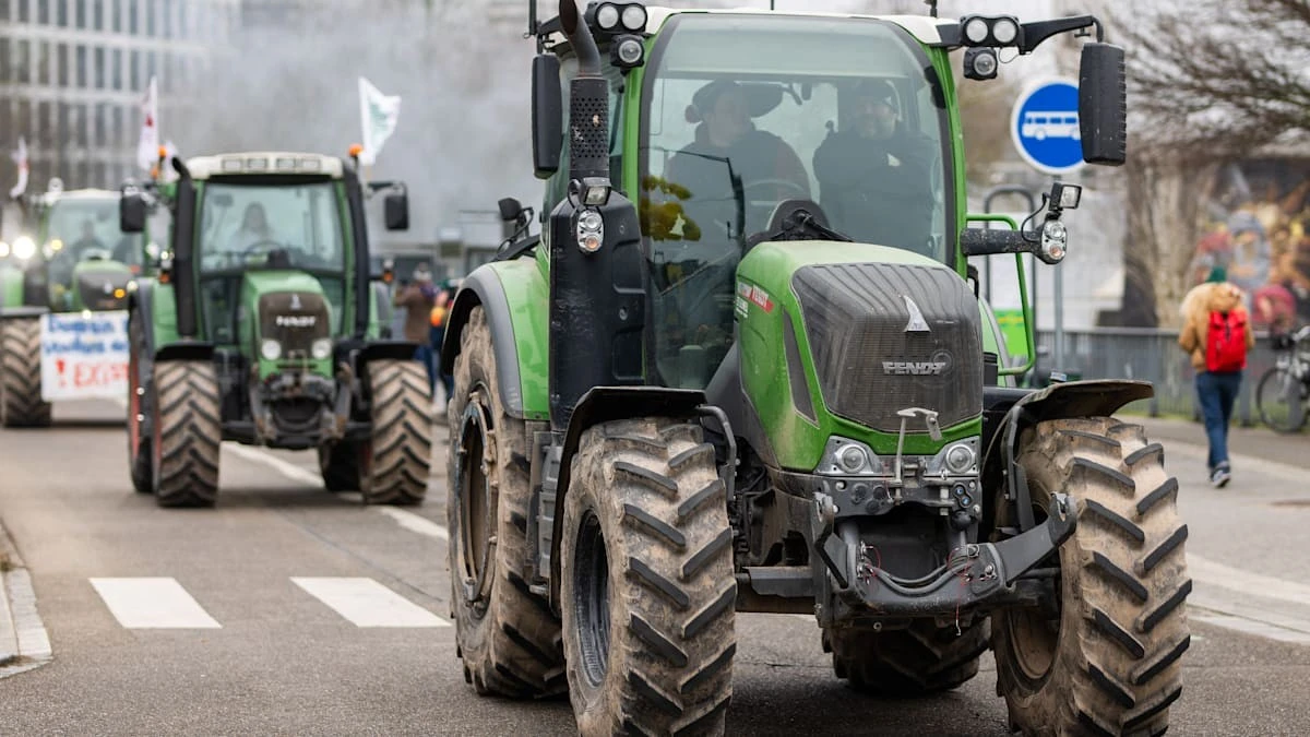 Traktoren auf der Straße: Was deutsche Bauern wirklich von Brüssel verlangen