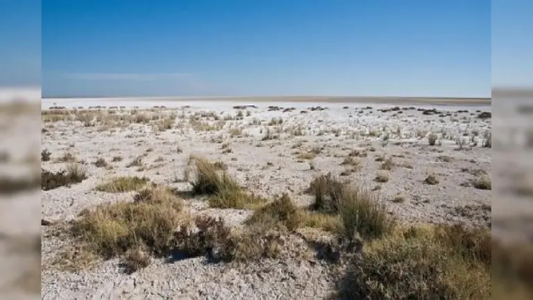 Vergessen Sie das Mittelmeer: Diese 5 Wüsten waren tiefe Ozeane – und niemand spricht darüber!