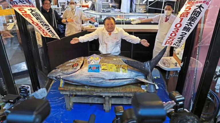 Vergiss Tesla: Dieser Fisch kostet mehr als dein Haus – und das ist erst der Anfang