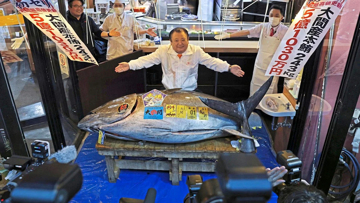 Vergiss Tesla: Dieser Fisch kostet mehr als dein Haus – und das ist erst der Anfang