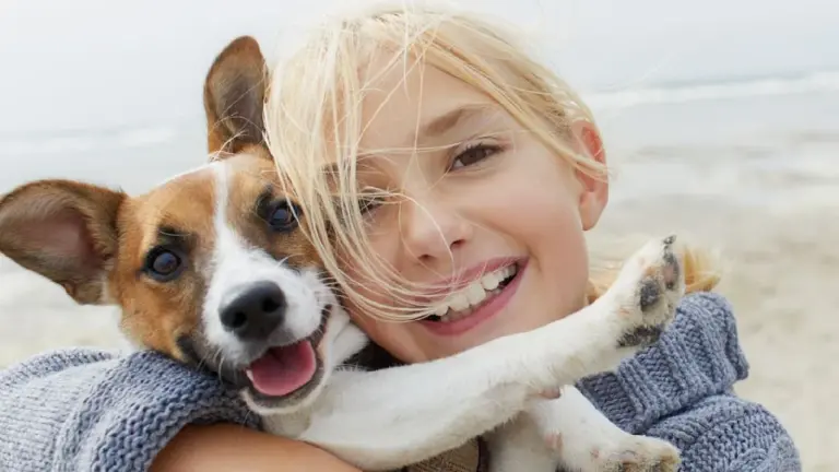 Warum der Abschied vom Hund manchmal mehr schmerzt als der Verlust eines Menschen