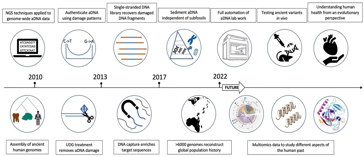 Warum der tote Wollhaarmammut zurückkehrt – und was die Forscher über die wahren Kosten verschweigen - image 1