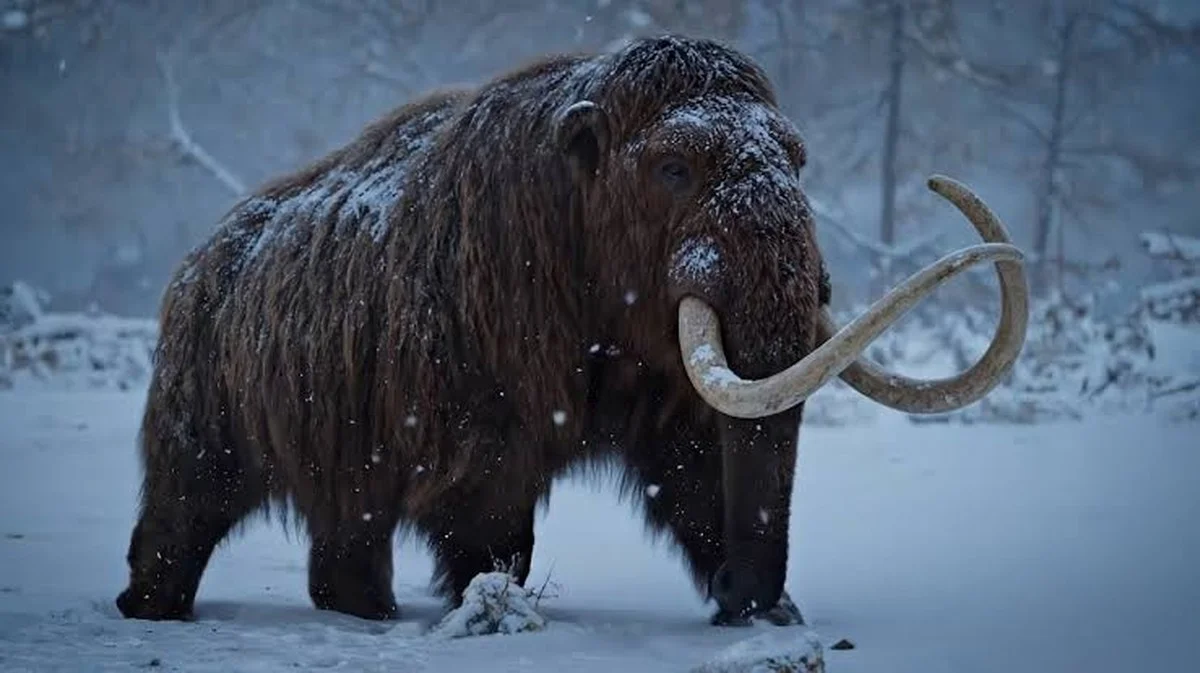 Warum der tote Wollhaarmammut zurückkehrt – und was die Forscher über die wahren Kosten verschweigen