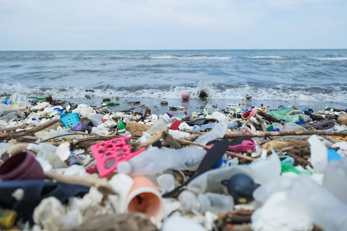 Werfen Sie diese mysteriösen Meer-Kugeln nicht weg – sie zeigen, wie wenig Sie über Plastik wussten - image 1