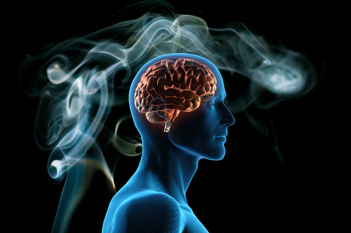 Darum scheitert jeder Versuch aufzuhören: Mein heimlicher Deal mit der Sucht - image 1