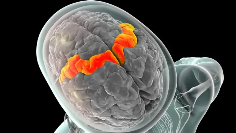 Das Geheimnis, das Ihr Hirn still hält: Forscher knacken ungesagte Gedanken