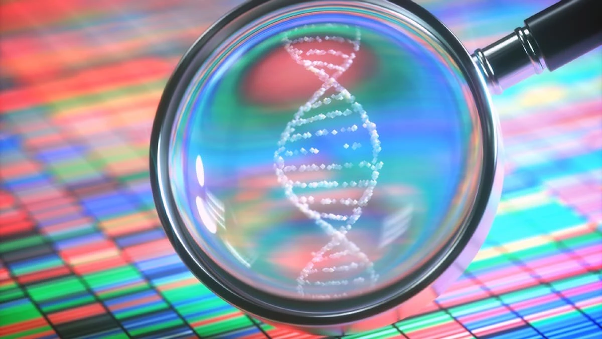 Dein Gesicht aus der DNA: Was China schon kann, ist in Deutschland streng verboten