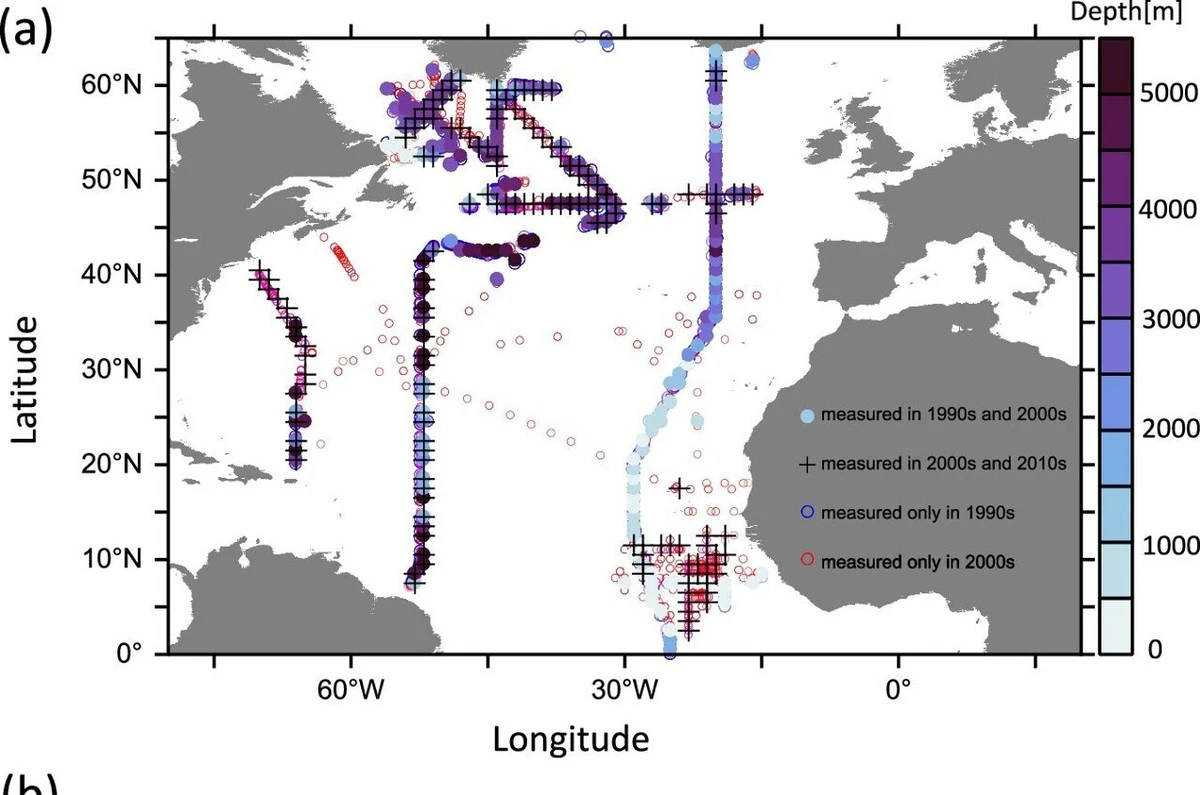 Der Nordatlantik erstickt: Deshalb ist die 