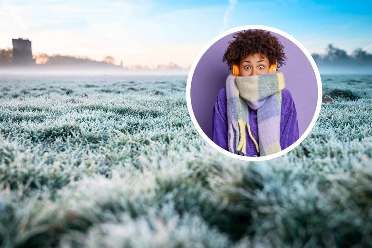 Der Winter, den keiner erwartet: Was ich als US-Amerikaner in São Paulo über Kälte und Essen lernte - image 2