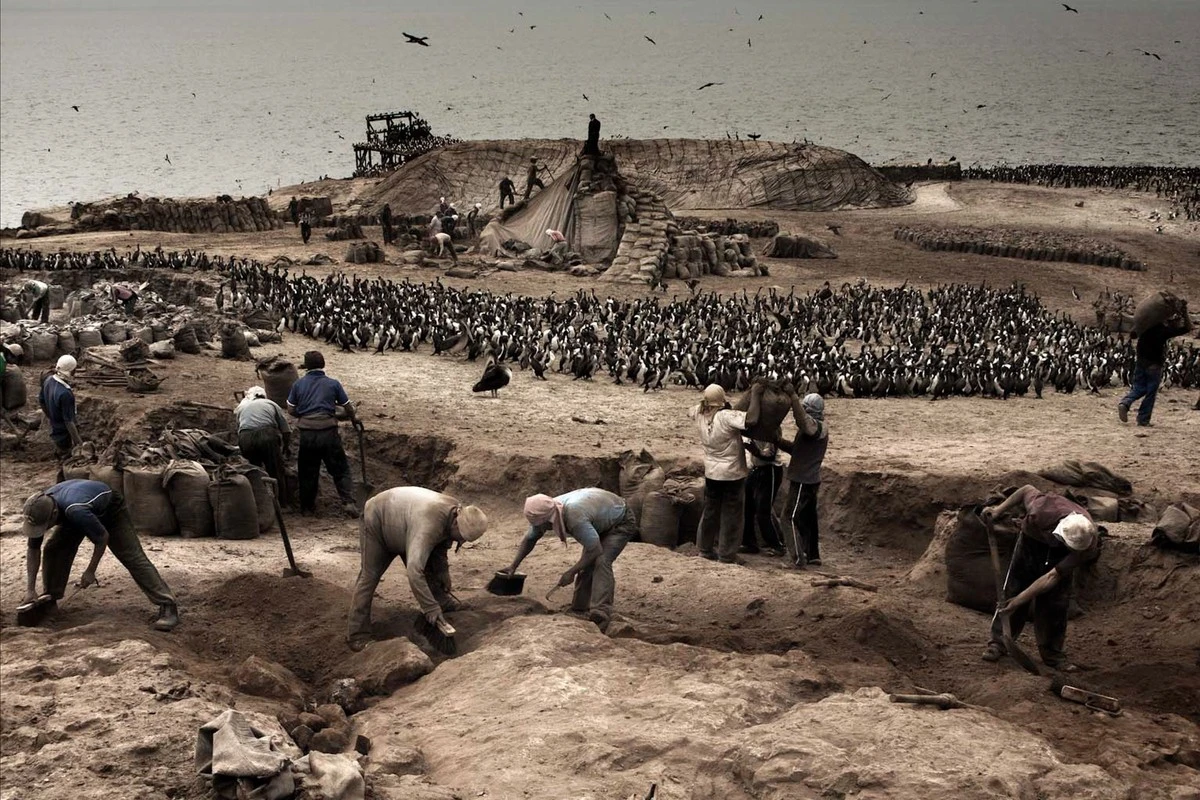 Diesen stinkenden Müll benutzte ein antikes Königreich als Gold – und wurde dadurch unschlagbar - image 2