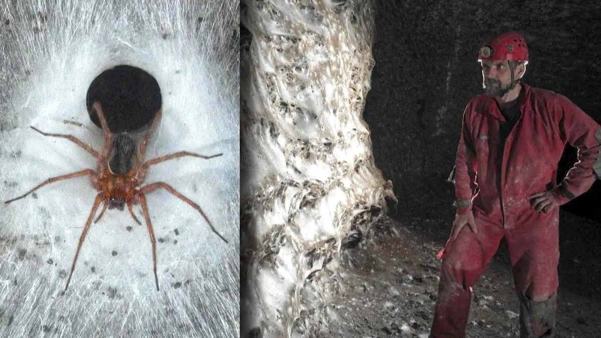 Dieser Spinnen-Moloch unter Albanien und Griechenland ist 100.000 Bürger groß – und verstößt gegen alle Regeln - image 2