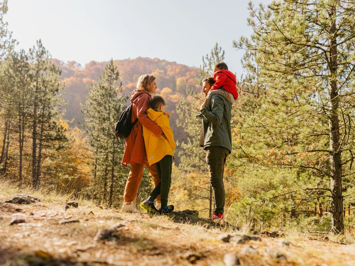 Dieses eine Detail verriet meinen großen Fehler: Warum die Großstadt meine Familie zerstört hätte - image 2