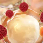 Dieses eine Kilo zu viel: Warum Ihr Immunsystem bei Infekten komplett versagt