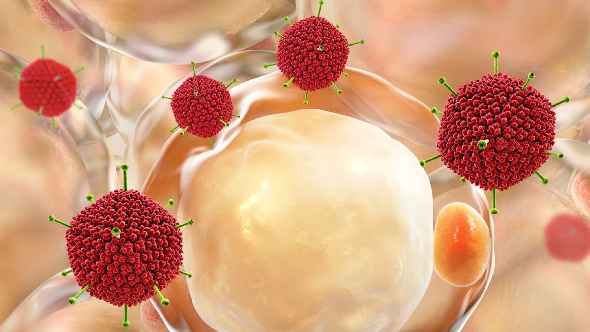 Dieses eine Kilo zu viel: Warum Ihr Immunsystem bei Infekten komplett versagt